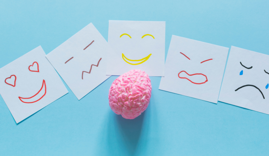 Importancia de la Inteligencia Emocional Importancia de la Inteligencia Emocional