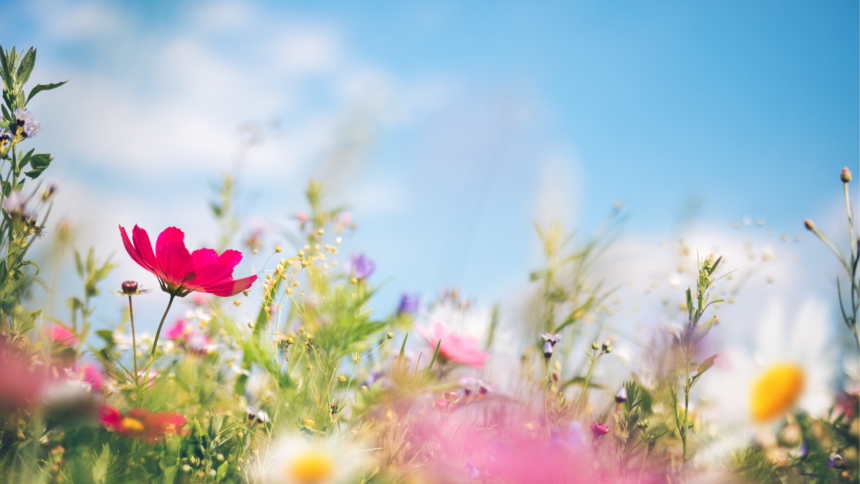 ¿Por qué aumentan los suicidios en primavera?